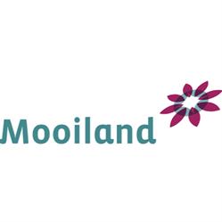 Mooiland Vastgoed, Grave openingstijden