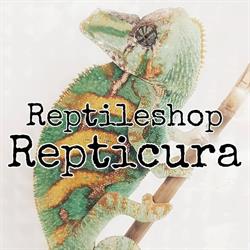 Repticura Reptileshop, Leeuwarden openingstijden