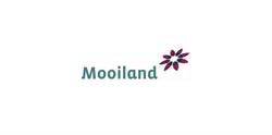 Mooiland Parkeren B.v., Grave openingstijden