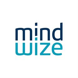 Mindwize B.v., Hoofddorp openingstijden