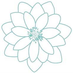 Pedicure en Massage Lotus of Jade Heavenly Health, Rijswijk openingstijden