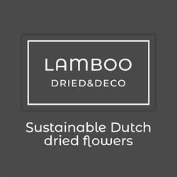 Koos Lamboo dried & deco, Lisse openingstijden