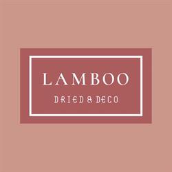 Koos Lamboo dried & deco, Lisse openingstijden