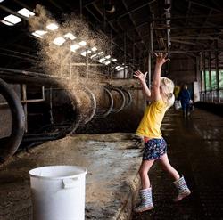 Melkveebedrijf de Veldgeuver, Enschede openingstijden