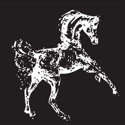 C.v. Het Witte Paard, Delden openingstijden