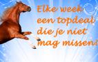 Happyhorsedeal, Manderveen openingstijden