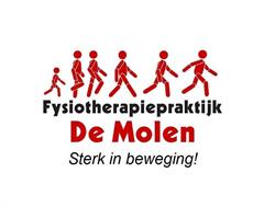 Fysiotherapiepraktijk De Molen B.V., Houten openingstijden