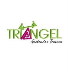 Gastouderbureau Triangel B.v., Delft openingstijden