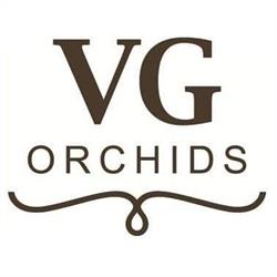VG Orchids, De Lier openingstijden