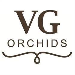 VG Orchids, De Lier openingstijden
