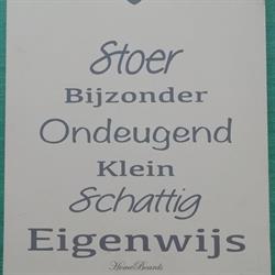 Kinderopvang Eigenwijs T.h.o.d.n. Franch & Free, Bolsward openingstijden