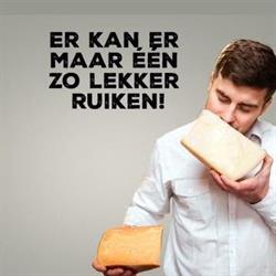 VBVers/Haans Products B.V., Etten-Leur openingstijden