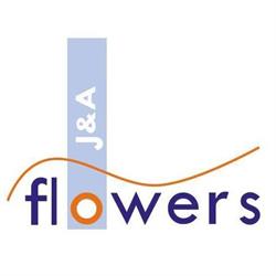 J & A Flowers KR B.V., De Lier openingstijden