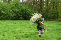 Fluitekruid 'natuurlijk Bijzonder', Almelo openingstijden