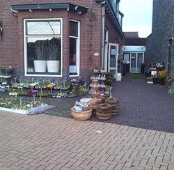 ´t Stalletje Bloemen & Planten, Voorthuizen openingstijden