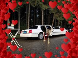 Five Star Limo, Doesburg openingstijden