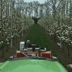Fruit- en Boomkwekerij Brokken, Horssen openingstijden