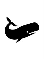Swarte Walvis B.V., Zaandam openingstijden