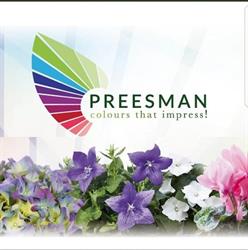 Preesman Potplanten, Strijen openingstijden