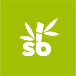 Solid Bamboo, Hillegom openingstijden