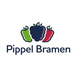 Pippel Bramen B.V., Haaften openingstijden