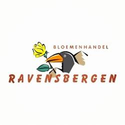 Ravensbergen Vastgoed B.V., Rijnsburg openingstijden