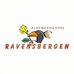 Ravensbergen Vastgoed B.V., Rijnsburg openingstijden