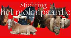 Stichting 'het Molenpaardje', Amsterdam openingstijden