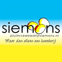 Maatschap A.P.A.M. Siemons, J.P.D.M. Siemons-de Rooij en A.A.J.F. Siemons, Roosendaal openingstijden