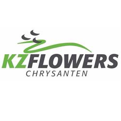 KZ Flowers B.V., Naaldwijk openingstijden