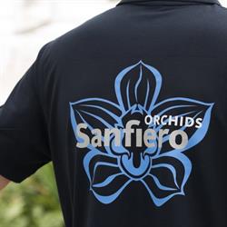 Sanfiero, De Lier openingstijden