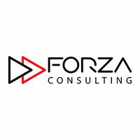 Forza Consulting B.v., Soest openingstijden