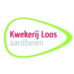 Aardbeienkwekerij Loos, Moerstraten openingstijden