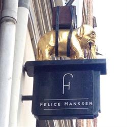 Felice Hanssen, Dordrecht openingstijden