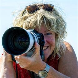 Dianne de Goeijen Fotografie, Gramsbergen openingstijden