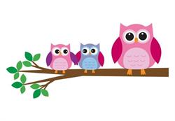Kinderopvang Het Vogelhuis, Spanbroek openingstijden