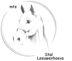Maatschap Stal Leeuwenhoeve, Giessenburg openingstijden
