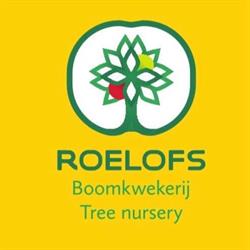 Boomkwekerij 't Fort W. Roelofs B.V., Zeewolde openingstijden