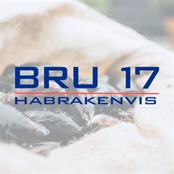 Bru 17, Bruinisse openingstijden