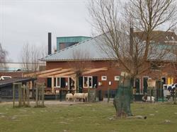 Stichting Dierenweide De Brielse Plantage, Brielle openingstijden