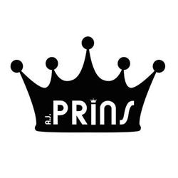 Kantoorvakhandel A J Prins, Delft openingstijden