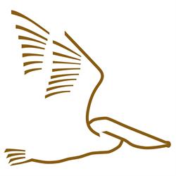 Stichting Buurtcentrum De Pelikaan, Krommenie openingstijden