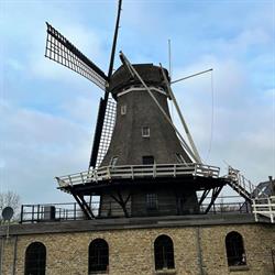 Stichting Molen De Korenaar C.A., Sexbierum openingstijden