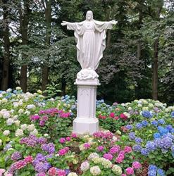 Stichting Arboretum Oudenbosch, openingstijden