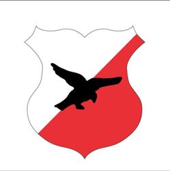 Stichting Hbs-Craeyenhout- Kunstgras, 's-Gravenhage openingstijden