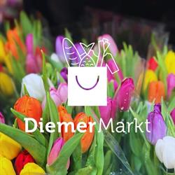 Stichting Diemer Festijn, Diemen openingstijden