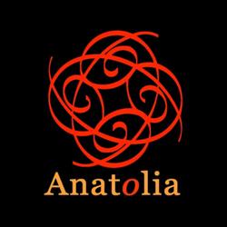 Studentenvereniging Anatolia, Amsterdam openingstijden