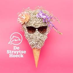 Winkelcentrum De Struytse Hoeck, Hellevoetsluis openingstijden