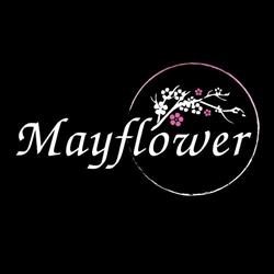 Mayflower, Haarlem openingstijden
