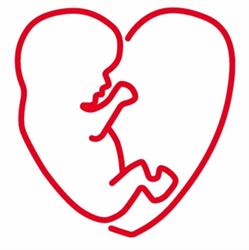 Verloskundigenpraktijk Overbetuwe, Zetten openingstijden